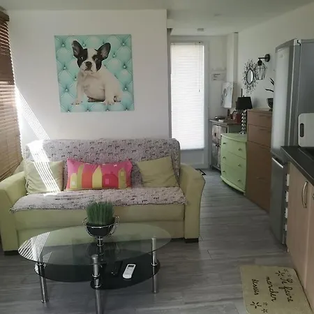 Independant Dans Avec Piscine * Καν-συρ-Μερ