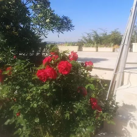 Apartment Independant Dans Avec Piscine